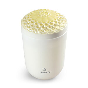 LLADROihj Echoes of Nature(Lh) gsJubT A40144 j j jԂ av[g ajMtg v[g Mtg wj Ԃ 2025