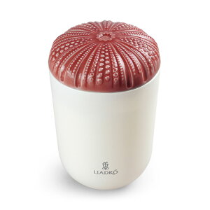 LLADROihj Echoes of Nature(Lh) nC̐ A40147 j j jԂ av[g ajMtg v[g Mtg wj Ԃ 2025