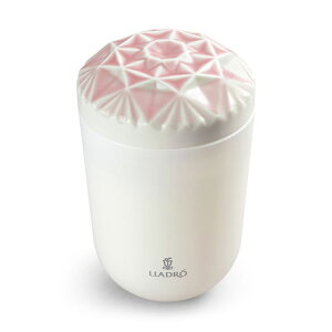 LLADROihj Echoes of Nature(Lh) ̂ʂ A40148 j j jԂ av[g ajMtg v[g Mtg wj Ԃ 2025