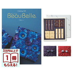 BEAUBELLE i{[xj J^OMtg KIWIiLECj+鍑ze `R[g(TA-20BE)ZbgysEC~݁z