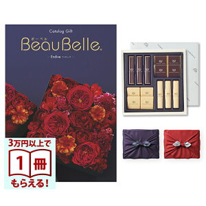 BEAUBELLE i{[xj J^OMtg ENDIVEiAeB[uj+鍑ze `R[g(TA-20BE)ZbgysEC~݁z