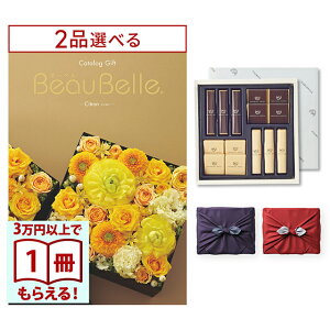 [12iIׂ] BEAUBELLE i{[xj J^OMtg CITRONiVgj+鍑ze `R[g(TA-20BE)ZbgysEC~݁z