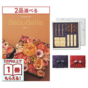 [12iIׂ] BEAUBELLE i{[xj J^OMtg CELERIiZj+鍑ze `R[g(TA-20BE)ZbgysEC~݁z