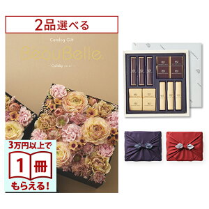 [12iIׂ] BEAUBELLE i{[xj J^OMtg COLINKYiRL[j+鍑ze `R[g(TA-20BE)ZbgysEC~݁z