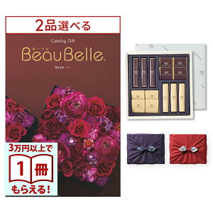 [12iIׂ] BEAUBELLE i{[xj J^OMtg RAISINiUj+鍑ze `R[g(TA-20BE)ZbgysEC~݁z