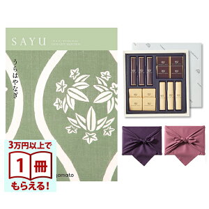 SAYUiTEj J^OMtg ͂Ȃ +鍑ze `R[g(TA-20BE)ZbgysEC~݁z