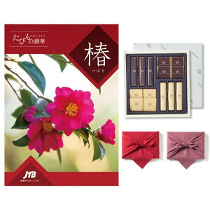 JTB@т̐؁@J^OMtg@ցi΂j+鍑ze `R[g(TA-20BE)ZbgysEC~݁z