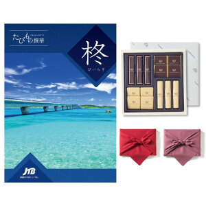 JTB@т̐؁@J^OMtg@AiЂ炬j+鍑ze `R[g(TA-20BE)ZbgysEC~݁z