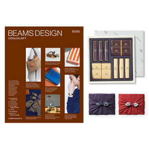 BEAMS DESIGN CATALOG GIFT BROWN +鍑ze `R[g(TA-20BE)ZbgysEC~݁z