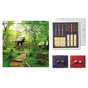 wl J^OMtg@kԁi傤jR[Xl+鍑ze `R[g(TA-20BE)ZbgysEC~݁z