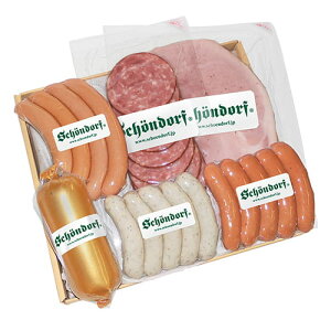 SCHOENDORF VF[htEin \[Z[WnVRlZbgSDC-502 MtgZbg v[g Ԃ hCc n   Zbg \[Z[W n[u p o[ I[XgA y