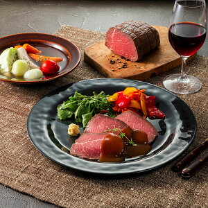 SCHOENDORF VF[htEin [Xgr[tōXgCZbg SDC-1003 MtgZbg v[g O Ԃ Ⓚ n[u ؓ     t  j