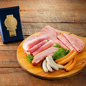 SCHOENDORF VF[htEin hZNVō܎܃Zbg  SDC-901 Mtg MtgZbg v[g O Ԃ CMX hCc pbN Lxc WKC n[u 