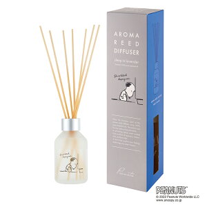 PEANUTSis[ibcj A}[hfBt[U[ X[vCx_[ [ tOX CeA Mtg Ԃ 蕨 v[g a LN^[ 킢 Mtg 2025