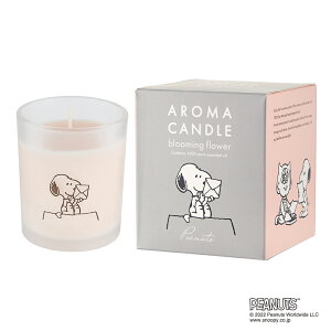 PEANUTSis[ibcj A}Lh u[~Ot[ VRz A} CeA bNX Mtg Ԃ 蕨 v[g a LN^[ 킢 Mtg 2025