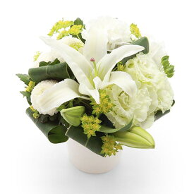 楽天市場 出産祝い カタログギフト 花 観葉植物 花 ガーデン Diy の通販