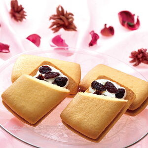 銀座千疋屋 銀座レーズンサンド GNS-291 洋菓子 ギフトセット 男性 結婚内祝い 祝い返し 誕生日プレゼント 誕生日祝いギフト 個包装 スイーツ お菓子 焼き菓子 詰め合わせ プレゼント お返し