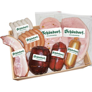 SCHOENDORF VF[htEin VycBGBZbg SDC-1001s j j Ԃ o j oYj j oYj Mtg MtgZbg v[g 