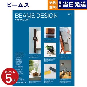 y13܂œ yjOKz BEAMS DESIGN CATALOG GIFT SKY r[X XJC J^OMtg  j j Vz oY j C j av[g MtgJ^O Y R