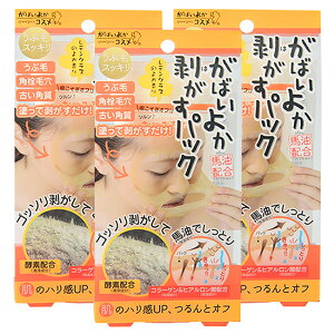 ΂悩pbN GA-04 s[ItpbN YсEpXbL R[QEvZ^EeGLXz  @ ͂pbN ͂^Cv