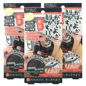 ΂悩pbN Y ݂ GA-06 s[ItpbN YсEpXbL R[QEvZ^EeGLXz  @ ͂pbN ͂^Cv