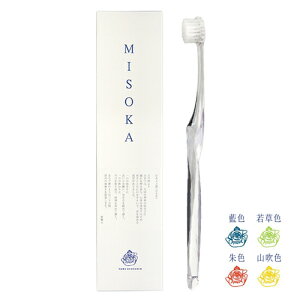 ~\J MISOKA SJ[ S4F@炸̃imeNuV ͂Ԃ炵 nuV f^PA