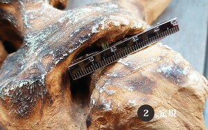 yX[p[SALEFzlN^Cs   j[N {Vo[ K ɗVѐS hV̓ a o^C NX}X