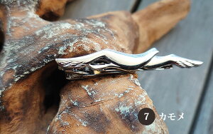 _10N[|209F59܂Ł^lN^Cs   j[N {Vo[ lR L ˂ St 싅 J K NM Kl s@ ɗVѐS8 hV̓ 