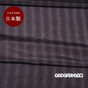 _10N[|209F59܂Ł^n VN   { O[n@ԁy50cm×90cmz vg lN^Cn nhCh Ntg n pb`[N | }XN ̓Mtg