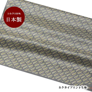 _10N[|209F59܂Ł^n VN   { O[x[Xy50cm×90cmz vg lN^Cn nhCh Ntg n pb`[N | }XN ̓Mtg