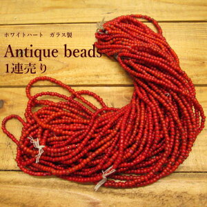 zCgn[gr[YyAeB[N*1A*zKX r[Y/nhCh/ANZT[/ޗ/Ntg/|