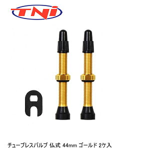 TNI eB[GkAC TNI `[uXou  44mm S[h 2P ] ouLbv ou