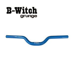 B-Witch �r�[�E�B�b�` B-W ���C�U�[�o�[ �X�J�C�u���[ ���]�� �t���b�g ���C�U�[�o�[