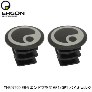 ERGON GS YHB07500 ERG GhvO GP1/GP1 oCIRN ] GhvO o[Gh