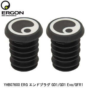 ERGON GS YHB07600 ERG GhvO GD1/GD1 Evo/GFR1 ] GhvO o[Gh