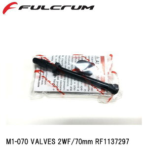 FULCRUM tN M1-070 VALVES 2WF/70mm RF1137297 ] zC[֘Api