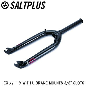 SALTPLUS \gvX EXtH[N WITH U-BRAKE MOUNTS 3/8" SLOTS ] tgtH[N