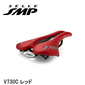 SELLE SMP ZGXGs[ VT30C bh ]ԗp Th