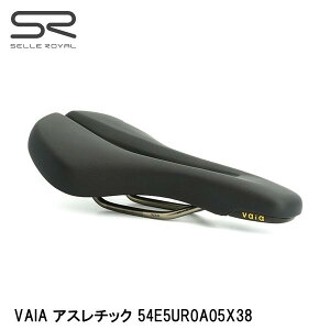 SELLEROYAL ZC VAIA AX`bN 54E5UR0A05X38 ]ԗp Th