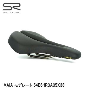 SELLEROYAL ZC VAIA f[g 54E6HR0A05X38 ]ԗp Th