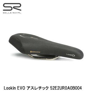 SELLEROYAL ZC Lookin EVO AX`bN 52E2UR0A0B004 ]ԗp Th