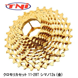 TNI eB[GkAC NJZbg 11-28T V}m12s () ] XvPbg