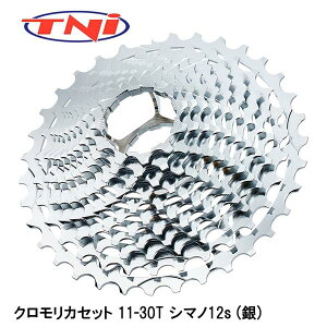 TNI eB[GkAC NJZbg 11-30T V}m12s () ] XvPbg