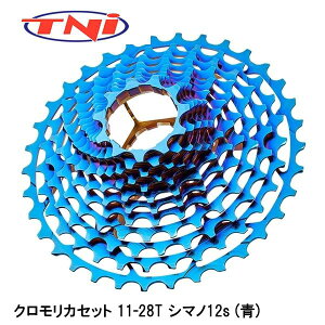 TNI eB[GkAC NJZbg 11-28T V}m12s () ] XvPbg