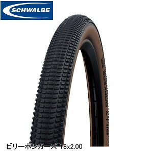 SCHWALBE Vx r[{J[Y 18x2.00 50-355 uY SW-11654375 }EeoCNpIt[h^C