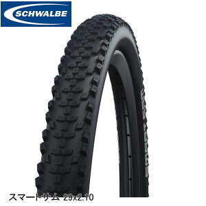 SCHWALBE Vx X}[gT 29x2.10 54-622 ubN SW-11159451 }EeoCNpIt[h^C