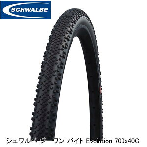 SCHWALBE Vx Vx W[ oCg Evolution 700x40C 40-622 ubN SW-11601003.02 OxpIt[h^C
