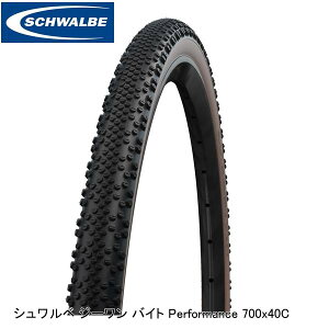 SCHWALBE Vx Vx W[ oCg Performance 700x40C 40-622 uY SW-11654356 OxpIt[h^C