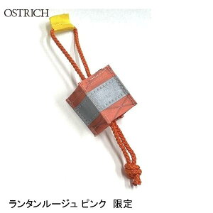 OSTRICH I[Xgb` ^[W sN  ] tN^[ ˔