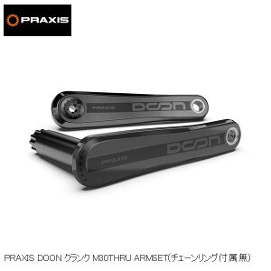 praxisworks �v���N�V�X���[�N�X PRAXIS DOON �N�����N M30THRU ARMSET(�`�F�[�������O�t����) ���]�� �N�����N�A�[��